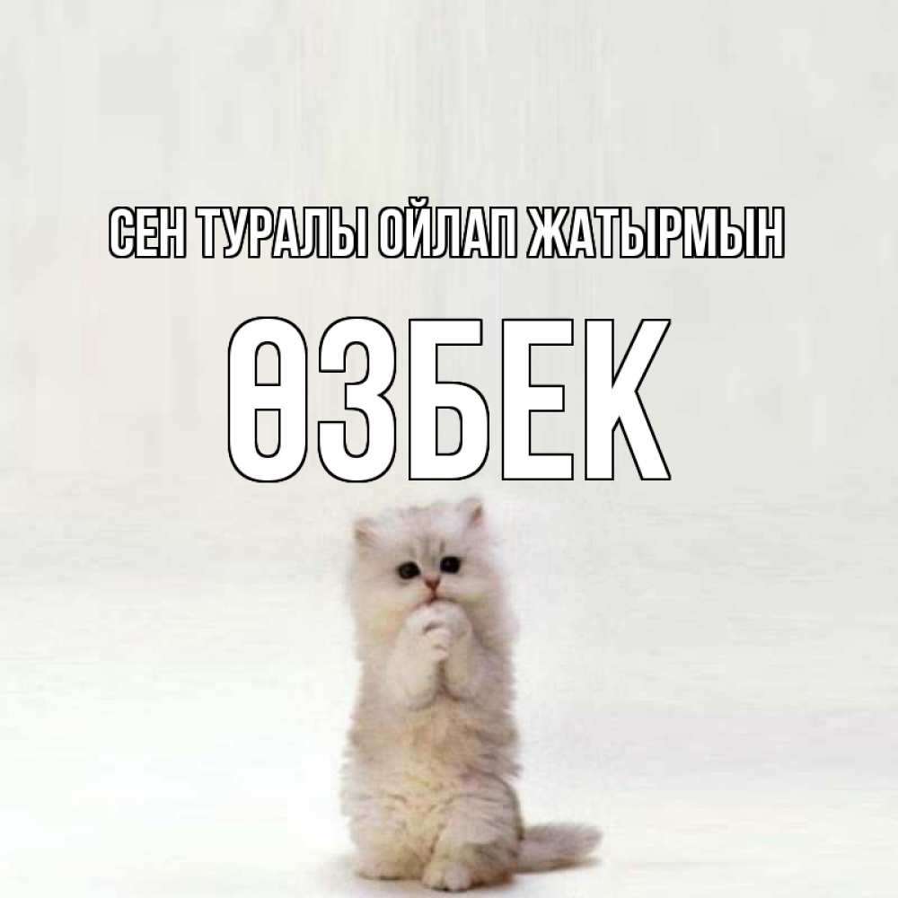 Күн сайын ашық хат с именем, ӨЗБЕК Сен туралы ойлап жатырмын кот стоит на задних лапах Онлайн тегін жүктеп алу тілектері бар керемет карта 