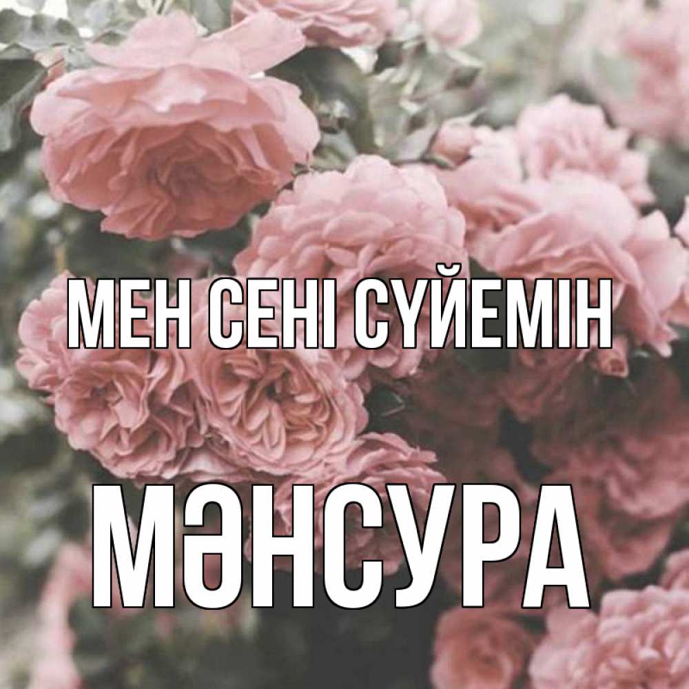 Күн сайын ашық хат с именем, МӘНСУРА Мен сені сүйемін розы 3 Онлайн тегін жүктеп алу тілектері бар керемет карта 