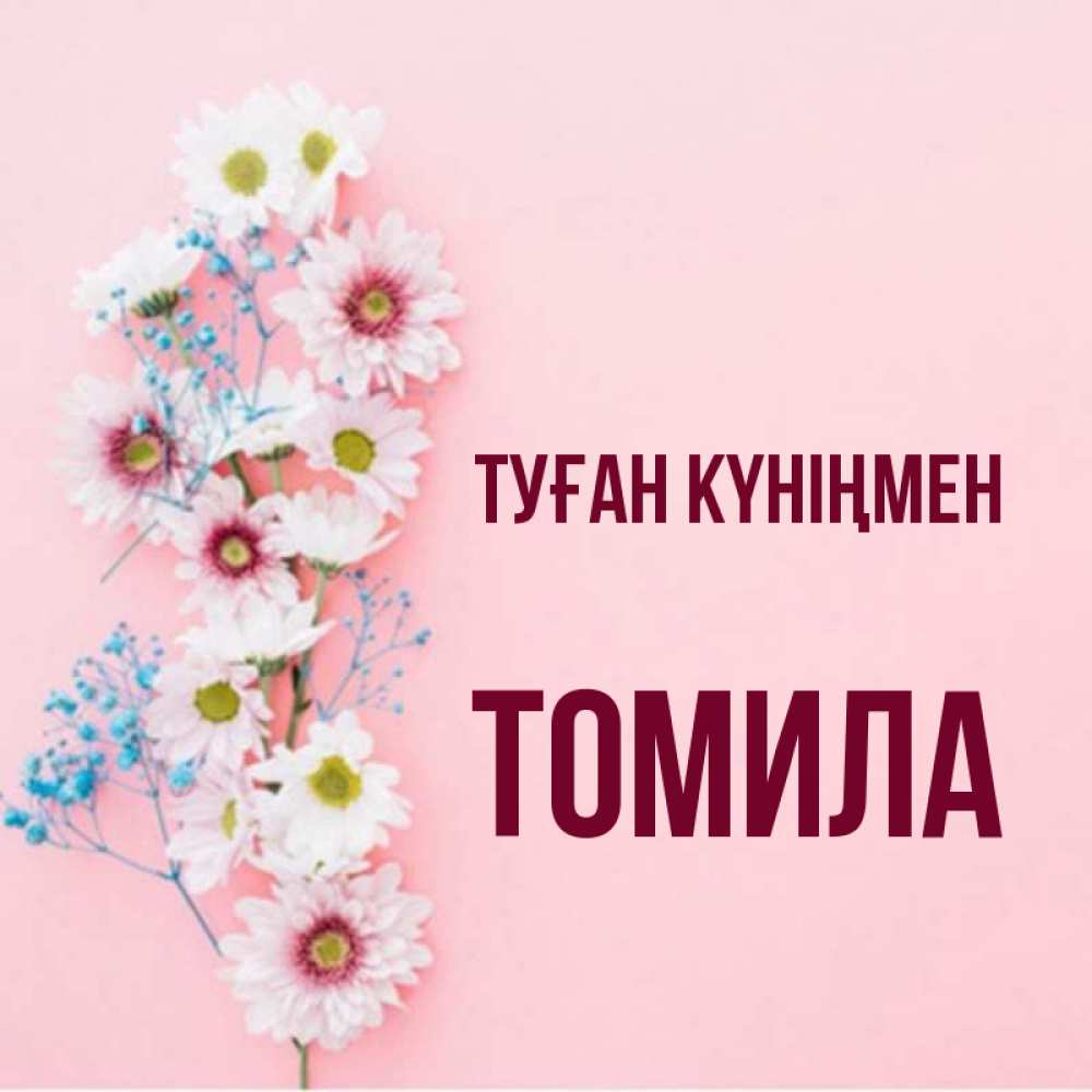 Күн сайын ашық хат с именем, Томила Туған күніңмен Родная моя с днем рождения тебя картинка с цветами белыми и голубыми Онлайн тегін жүктеп алу тілектері бар керемет карта 