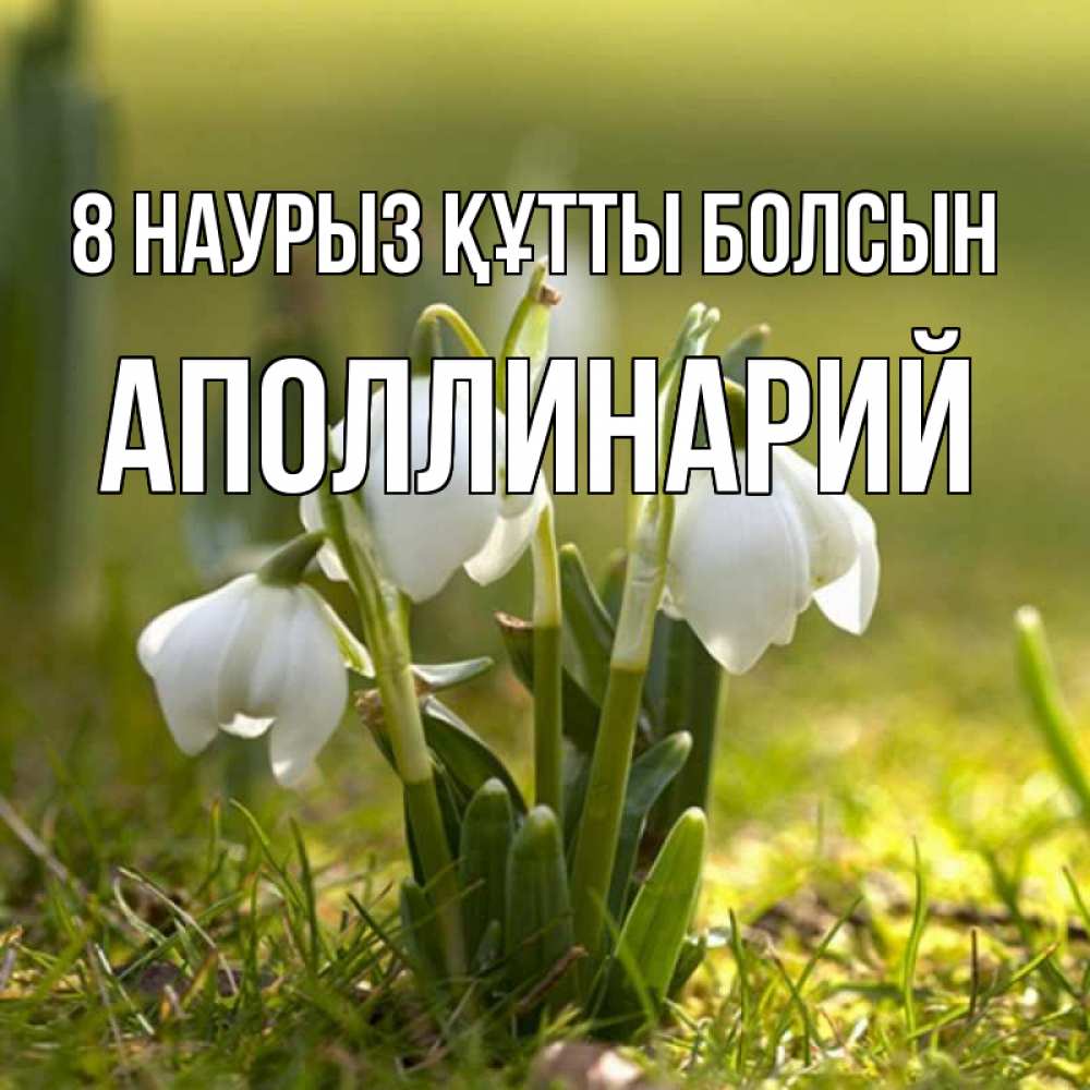 Күн сайын ашық хат с именем, Аполлинарий 8 наурыз құтты болсын ранние цветы 2 Онлайн тегін жүктеп алу тілектері бар керемет карта 