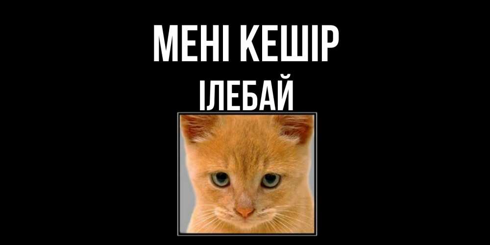 Күн сайын ашық хат с именем, Ілебай Мені кешір рыжий грустный кот просит прощения Онлайн тегін жүктеп алу тілектері бар керемет карта 