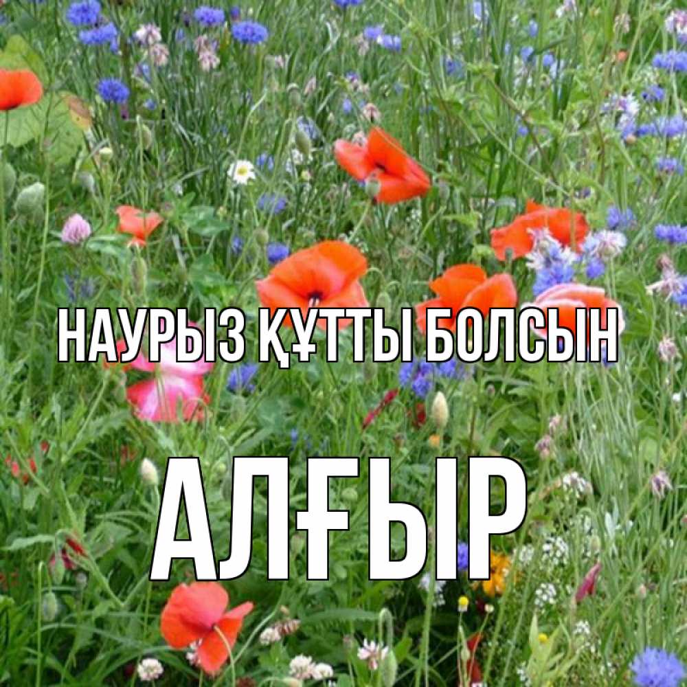 Күн сайын ашық хат с именем, Алғыр Наурыз құтты болсын наурыз  4 Онлайн тегін жүктеп алу тілектері бар керемет карта 