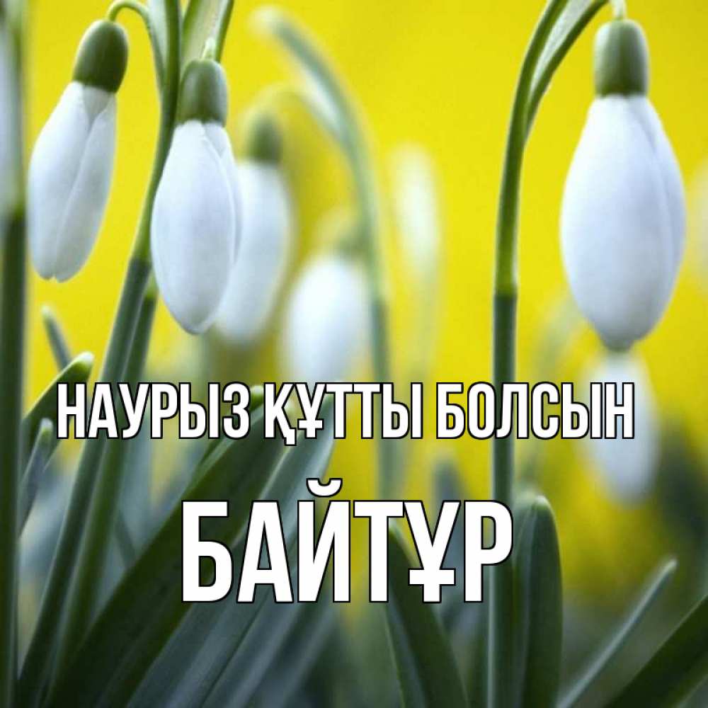 Күн сайын ашық хат с именем, Байтұр Наурыз құтты болсын весенние цветы Онлайн тегін жүктеп алу тілектері бар керемет карта 