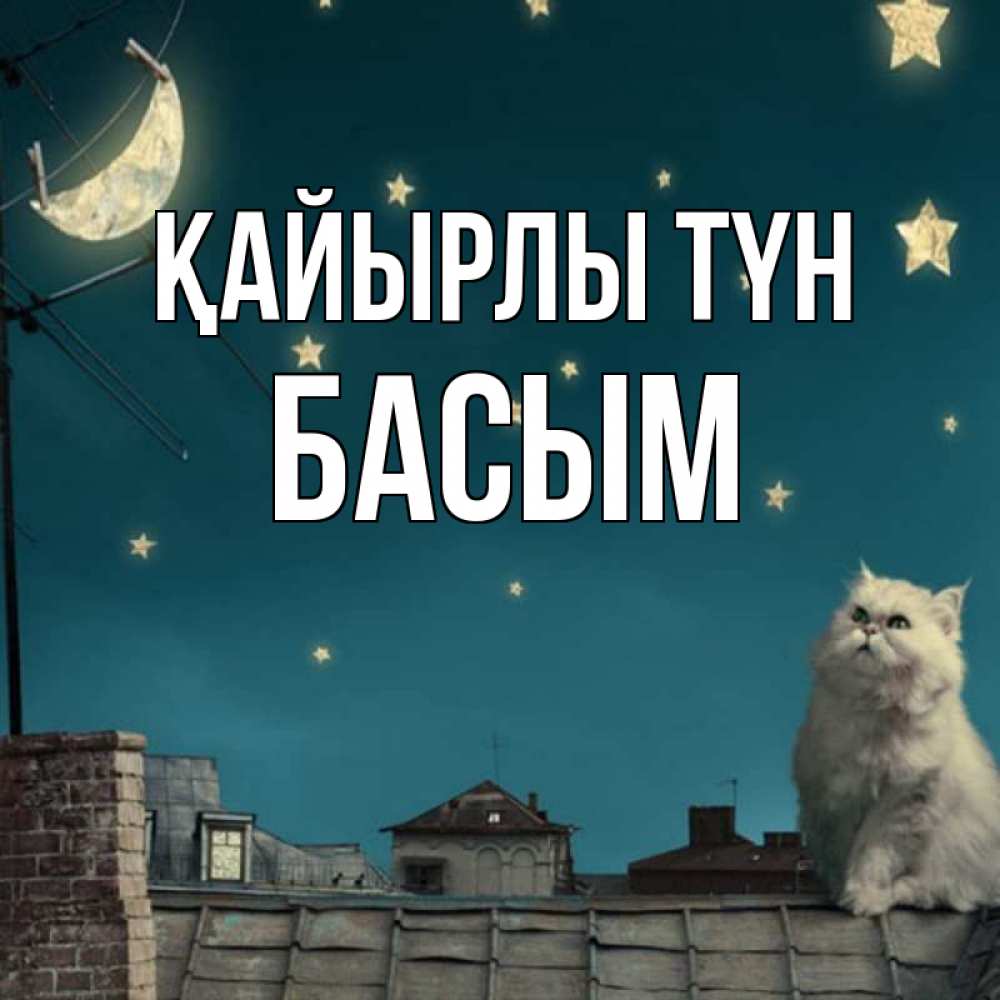 Күн сайын ашық хат с именем, Басым Қайырлы түн белый кот сидит на крыше Онлайн тегін жүктеп алу тілектері бар керемет карта 