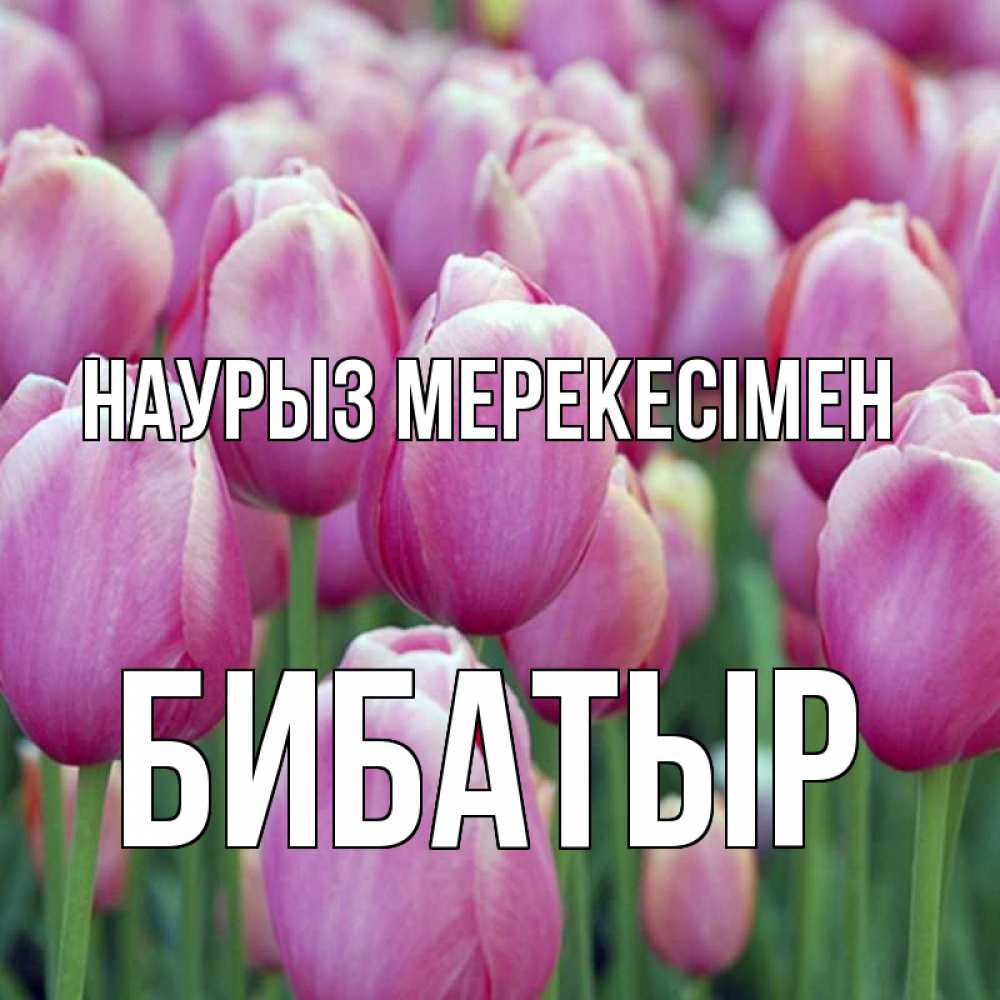 Күн сайын ашық хат с именем, Бибатыр Наурыз мерекесімен праздник весны наурыз 69 Онлайн тегін жүктеп алу тілектері бар керемет карта 