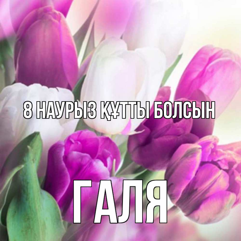 Күн сайын ашық хат с именем, Галя 8 наурыз құтты болсын весна 1 Онлайн тегін жүктеп алу тілектері бар керемет карта 