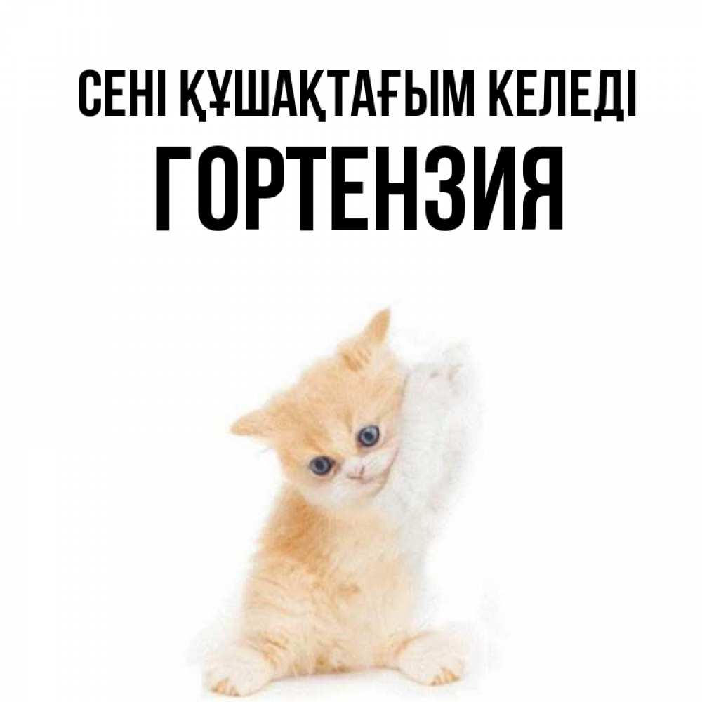 Күн сайын ашық хат с именем, Гортензия сені құшақтағым келеді я хочу очень скорее обнимаешек Онлайн тегін жүктеп алу тілектері бар керемет карта 