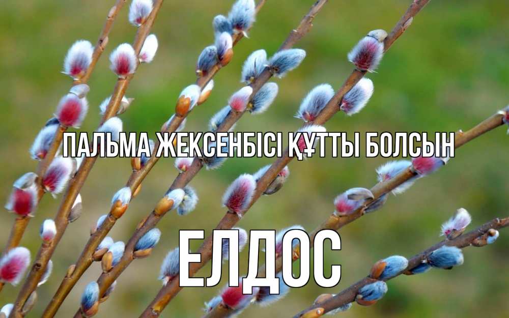 Күн сайын ашық хат с именем, Елдос Пальма жексенбісі құтты болсын верба Онлайн тегін жүктеп алу тілектері бар керемет карта 
