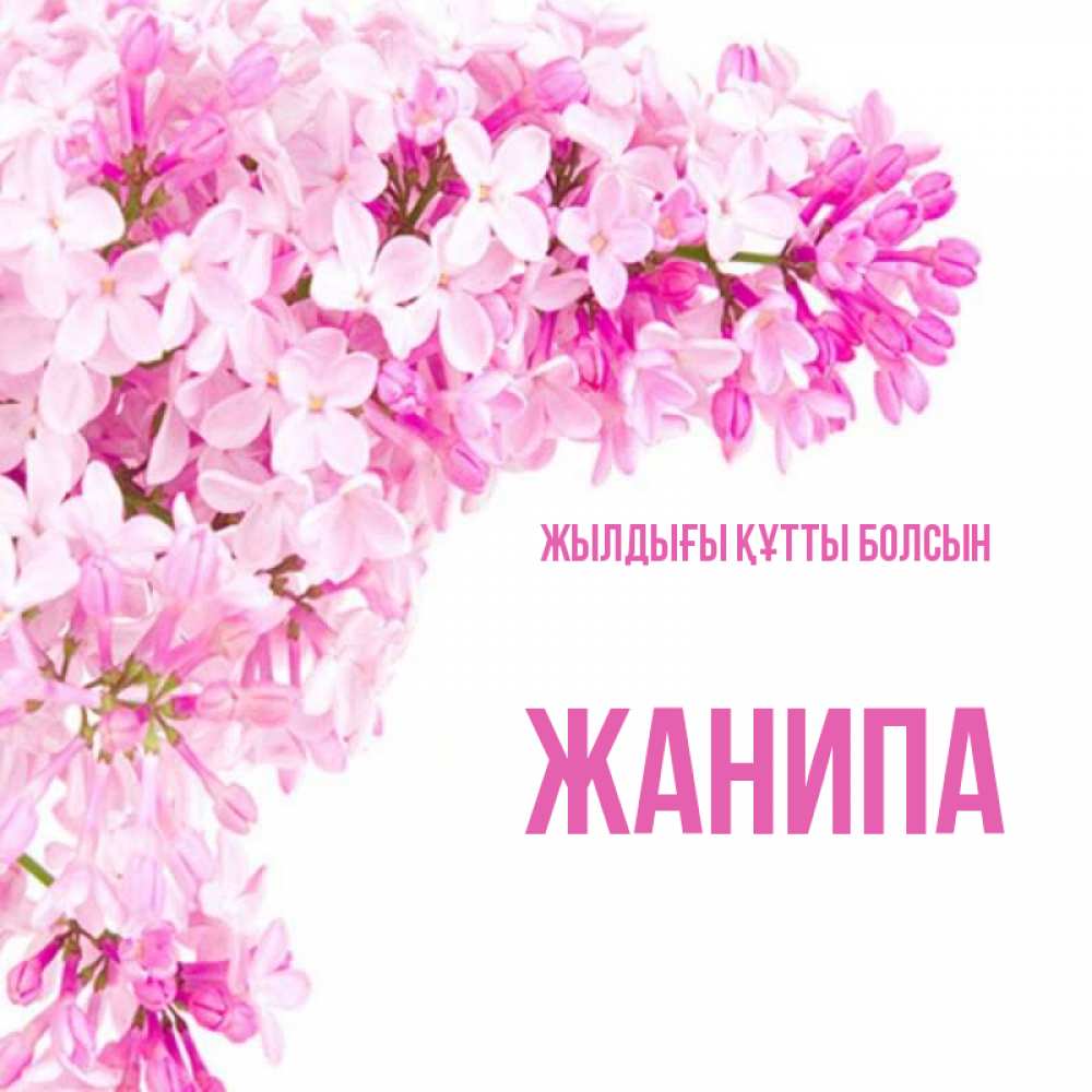Күн сайын ашық хат с именем, ЖАНИПА Жылдығы құтты болсын Сирень на белом фоне Онлайн тегін жүктеп алу тілектері бар керемет карта 