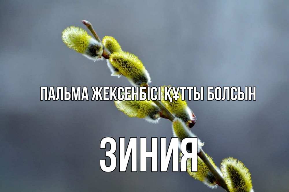 Күн сайын ашық хат с именем, ЗИНИЯ Пальма жексенбісі құтты болсын верба Онлайн тегін жүктеп алу тілектері бар керемет карта 