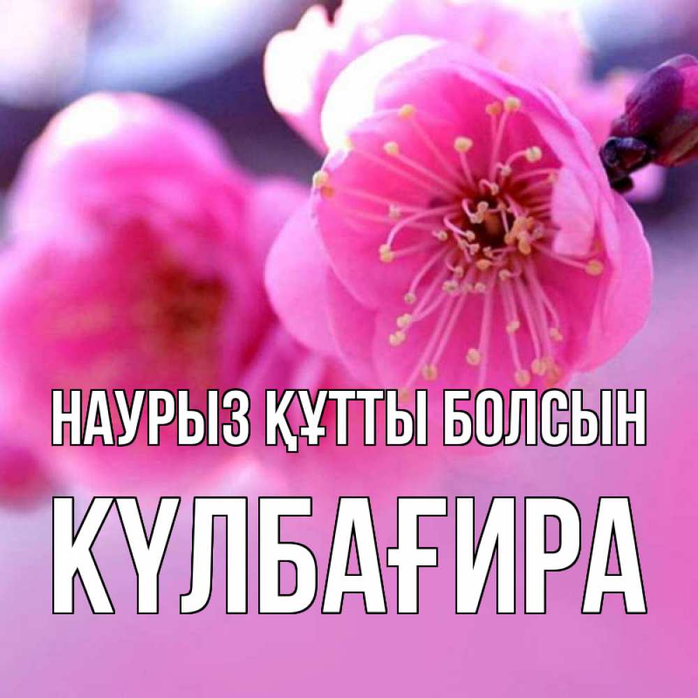 Күн сайын ашық хат с именем, КҮЛБАҒИРА Наурыз құтты болсын наурыз мейрам Онлайн тегін жүктеп алу тілектері бар керемет карта 