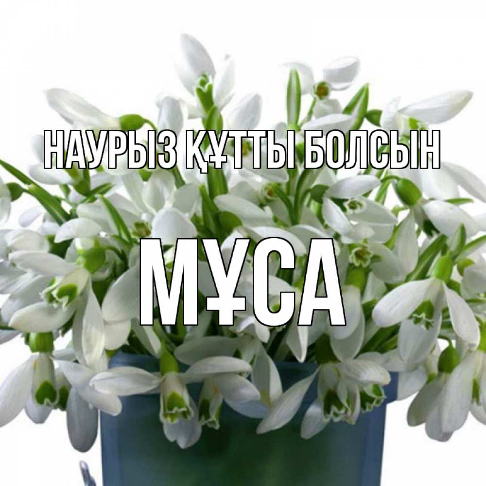 Күн сайын ашық хат с именем, МҰСА Наурыз құтты болсын цветы к наурызу Онлайн тегін жүктеп алу тілектері бар керемет карта 