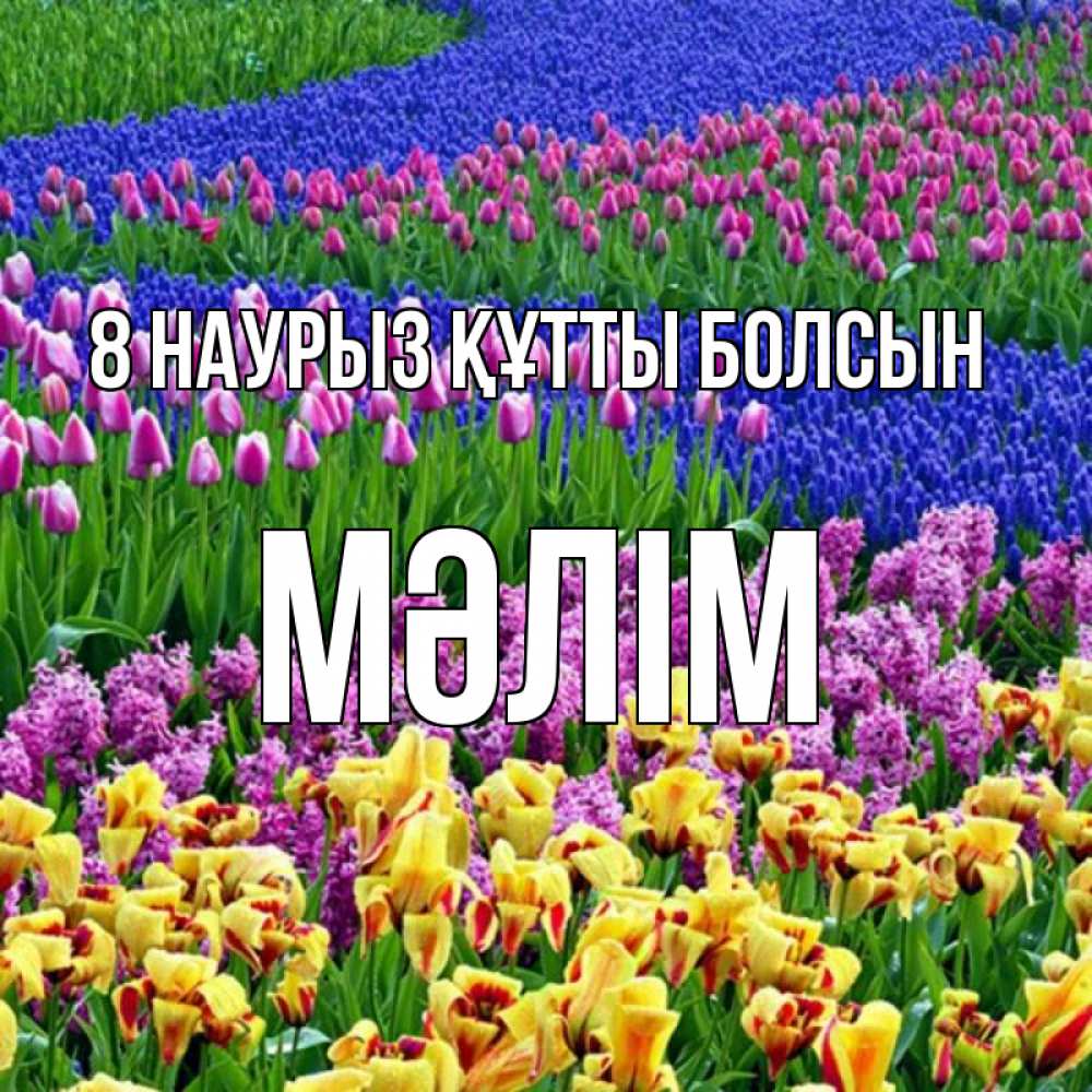Күн сайын ашық хат с именем, МӘЛІМ 8 наурыз құтты болсын цветы Онлайн тегін жүктеп алу тілектері бар керемет карта 