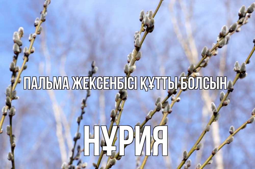 Күн сайын ашық хат с именем, НҰРИЯ Пальма жексенбісі құтты болсын верба Онлайн тегін жүктеп алу тілектері бар керемет карта 