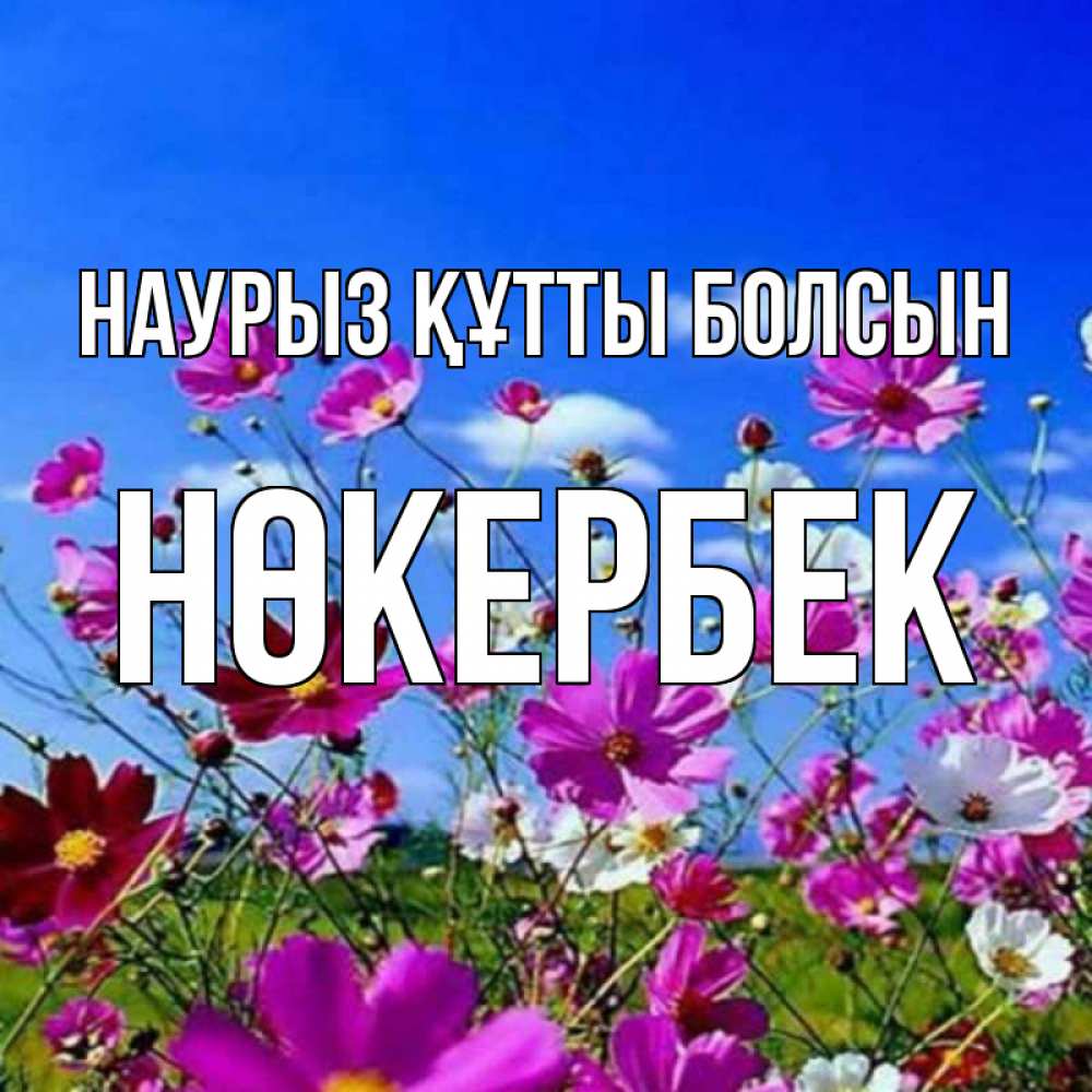 Күн сайын ашық хат с именем, НӨКЕРБЕК Наурыз құтты болсын цветы Онлайн тегін жүктеп алу тілектері бар керемет карта 