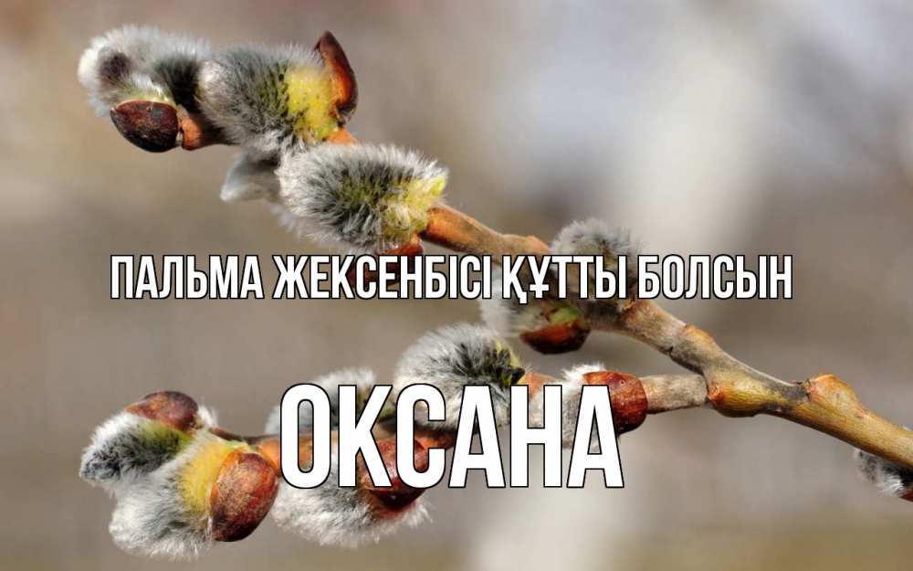 Күн сайын ашық хат с именем, Оксана Пальма жексенбісі құтты болсын Верба Онлайн тегін жүктеп алу тілектері бар керемет карта 