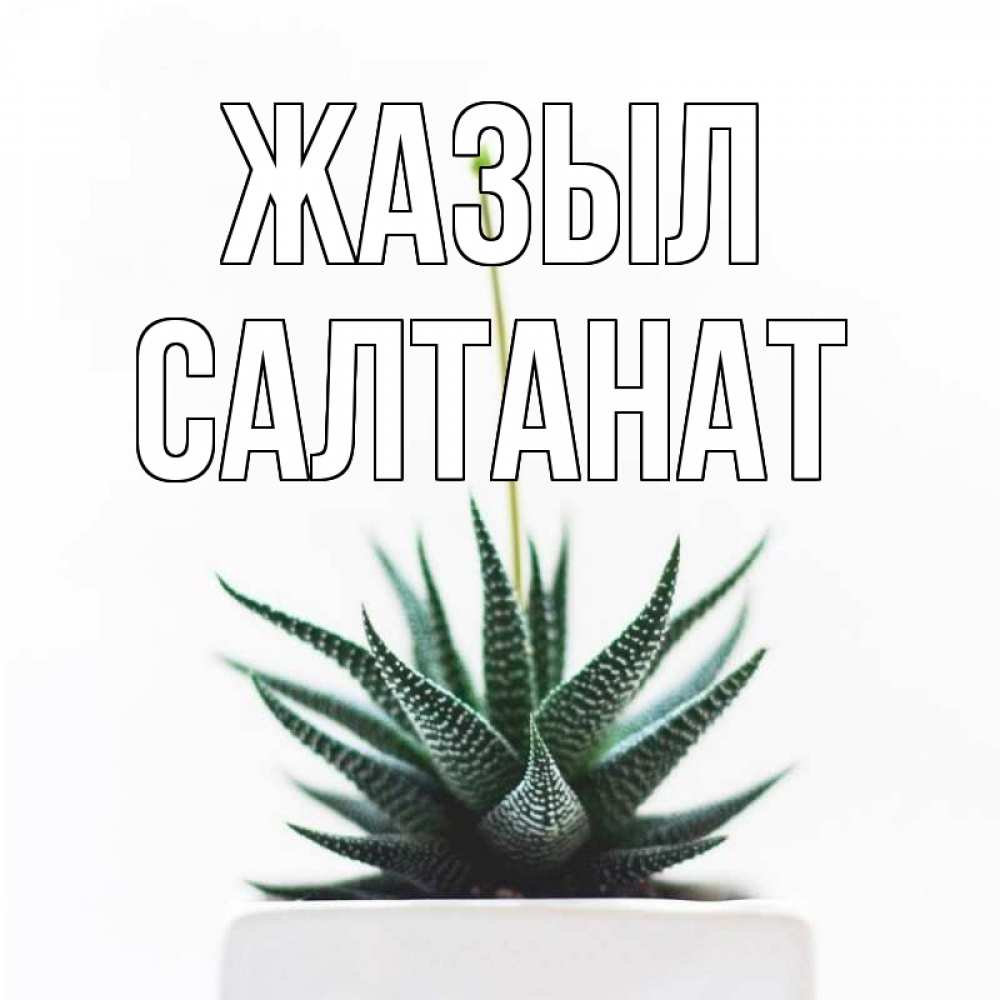 Күн сайын ашық хат с именем, САЛТАНАТ Жазыл короче это непонятная колючка Онлайн тегін жүктеп алу тілектері бар керемет карта 