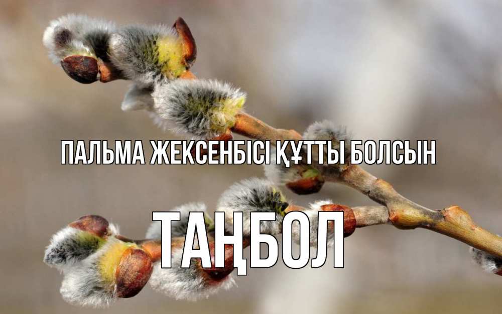 Күн сайын ашық хат с именем, ТАҢБОЛ Пальма жексенбісі құтты болсын Верба Онлайн тегін жүктеп алу тілектері бар керемет карта 