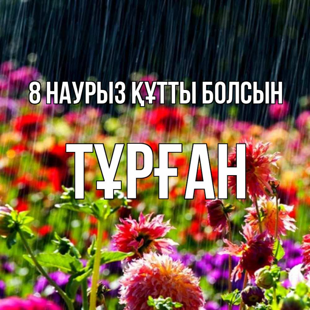Күн сайын ашық хат с именем, ТҰРҒАН 8 наурыз құтты болсын цветы под дождиком к международному женскому дню Онлайн тегін жүктеп алу тілектері бар керемет карта 