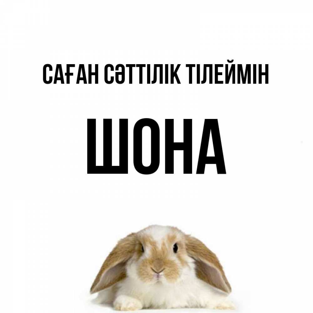 Күн сайын ашық хат с именем, ШОНА Саған сәттілік тілеймін открытки с произвольным текстом который можно вставить в открытку и создать ее самостоятельно бесплатно онлайн Онлайн тегін жүктеп алу тілектері бар керемет карта 
