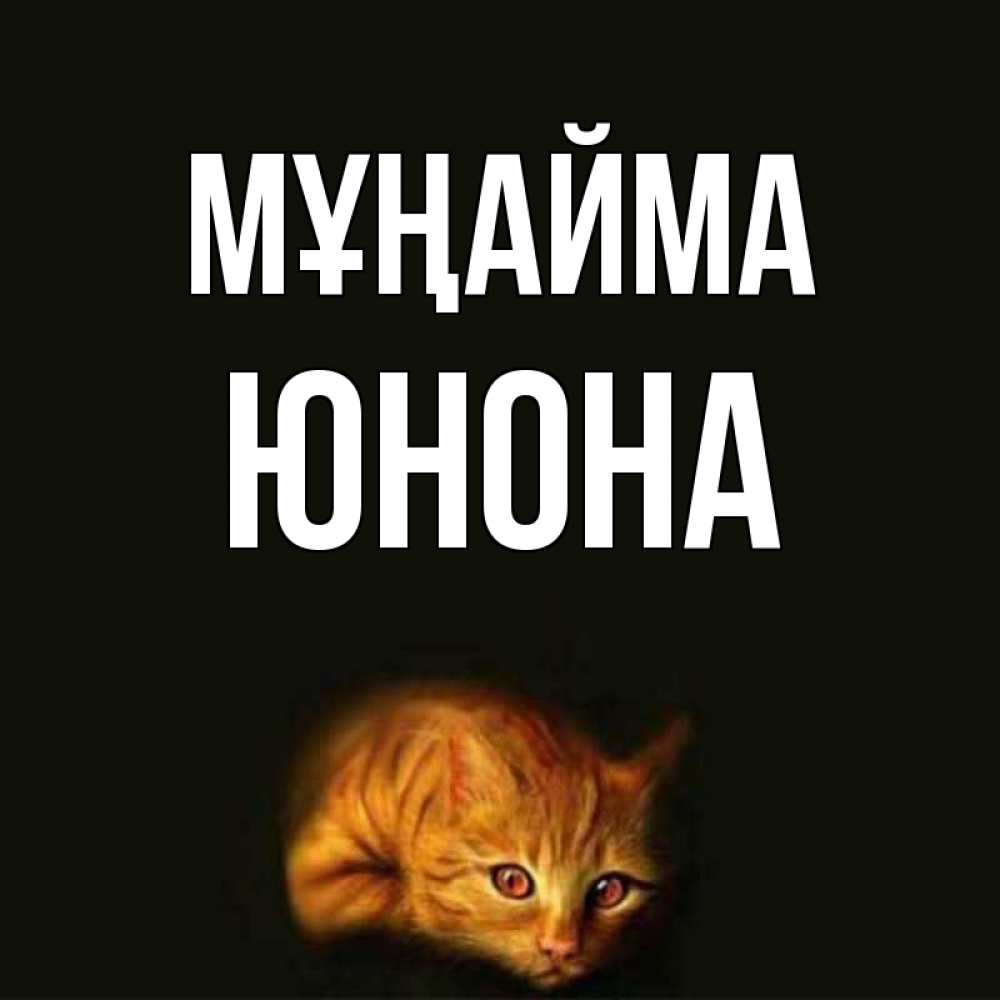 Күн сайын ашық хат с именем, Юнона Мұңайма лежащий кот в темноте Онлайн тегін жүктеп алу тілектері бар керемет карта 