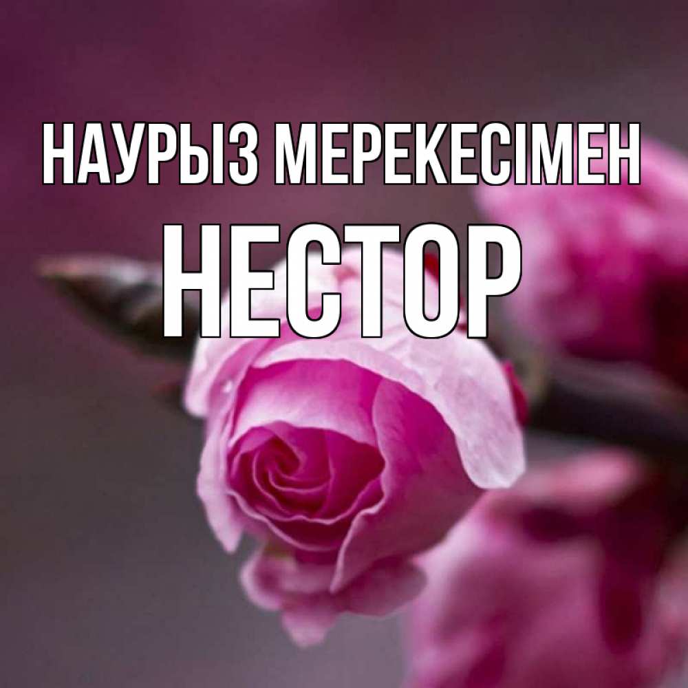 Күн сайын ашық хат с именем, Нестор Наурыз мерекесімен весна Онлайн тегін жүктеп алу тілектері бар керемет карта 