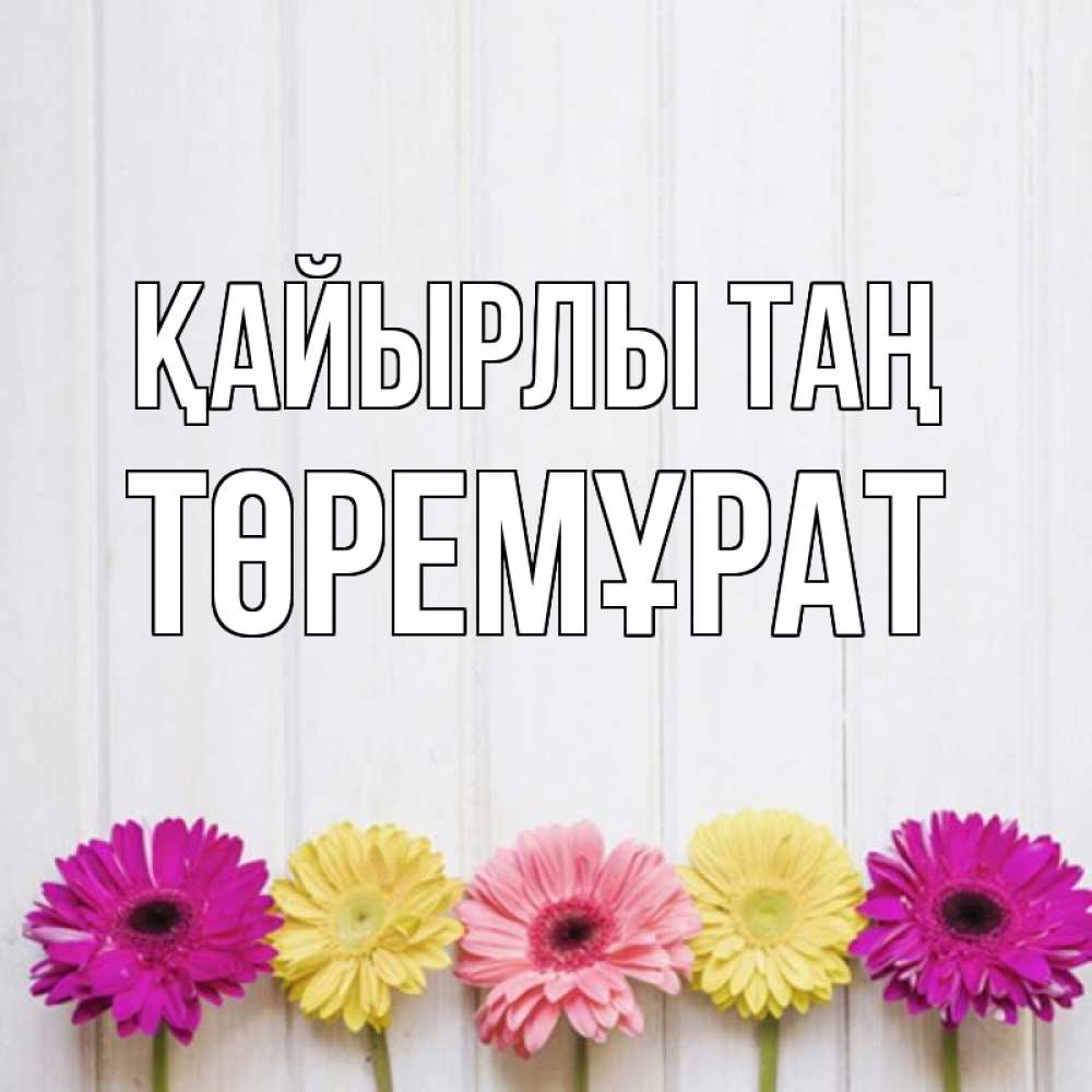 Күн сайын ашық хат с именем, Төремұрат Қайырлы таң красный желтый и розовый цветок Онлайн тегін жүктеп алу тілектері бар керемет карта 