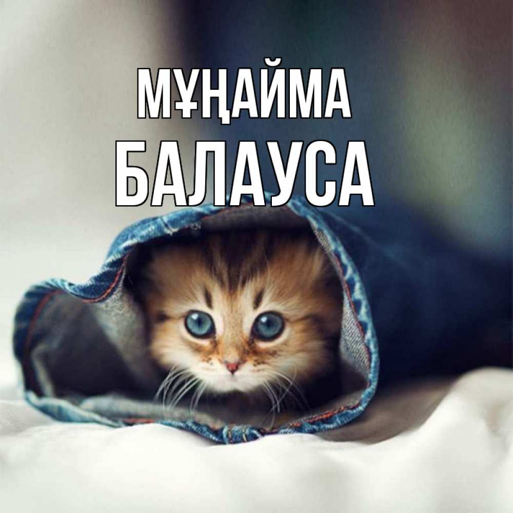 Күн сайын ашық хат с именем, БАЛАУСА Мұңайма рыжик котик Онлайн тегін жүктеп алу тілектері бар керемет карта 