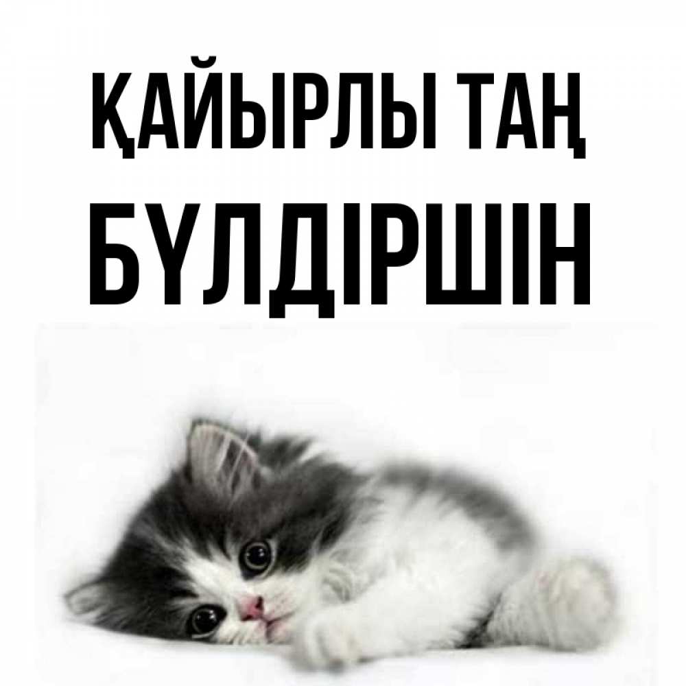 Күн сайын ашық хат с именем, БҮЛДІРШІН Қайырлы таң кот лапки Онлайн тегін жүктеп алу тілектері бар керемет карта 