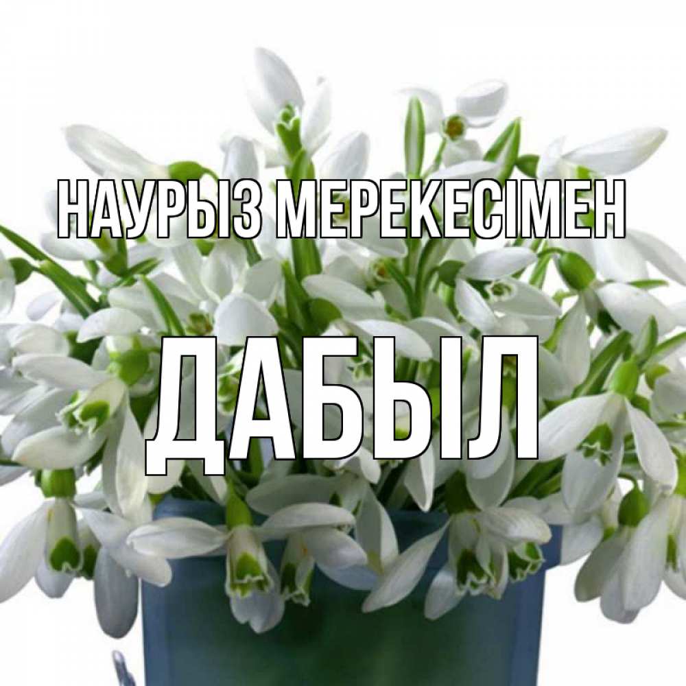 Күн сайын ашық хат с именем, Дабыл Наурыз мерекесімен цветы к наурызу новый год в Казахстане Онлайн тегін жүктеп алу тілектері бар керемет карта 