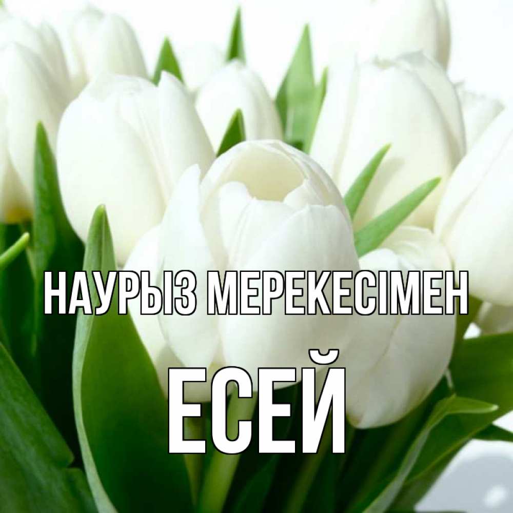 Күн сайын ашық хат с именем, Есей Наурыз мерекесімен цветы Онлайн тегін жүктеп алу тілектері бар керемет карта 