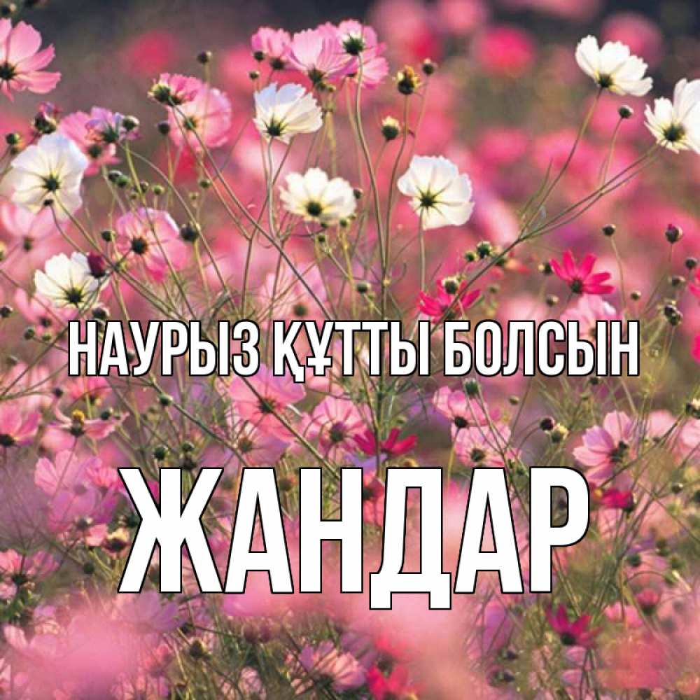 Күн сайын ашық хат с именем, Жандар Наурыз құтты болсын красиво 1 Онлайн тегін жүктеп алу тілектері бар керемет карта 