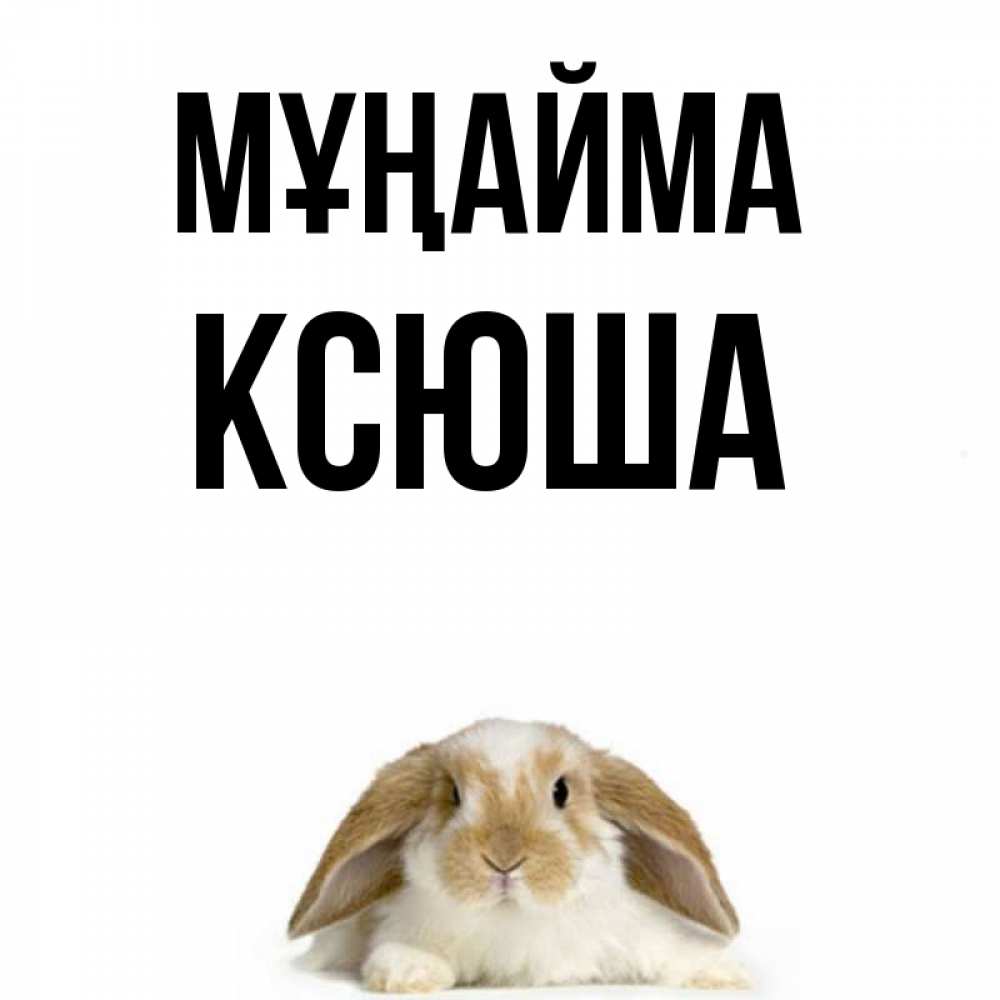 Күн сайын ашық хат с именем, Ксюша Мұңайма коричнево белый заяц с большими ушками Онлайн тегін жүктеп алу тілектері бар керемет карта 
