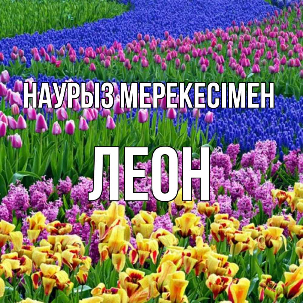 Күн сайын ашық хат с именем, Леон Наурыз мерекесімен цветы Онлайн тегін жүктеп алу тілектері бар керемет карта 