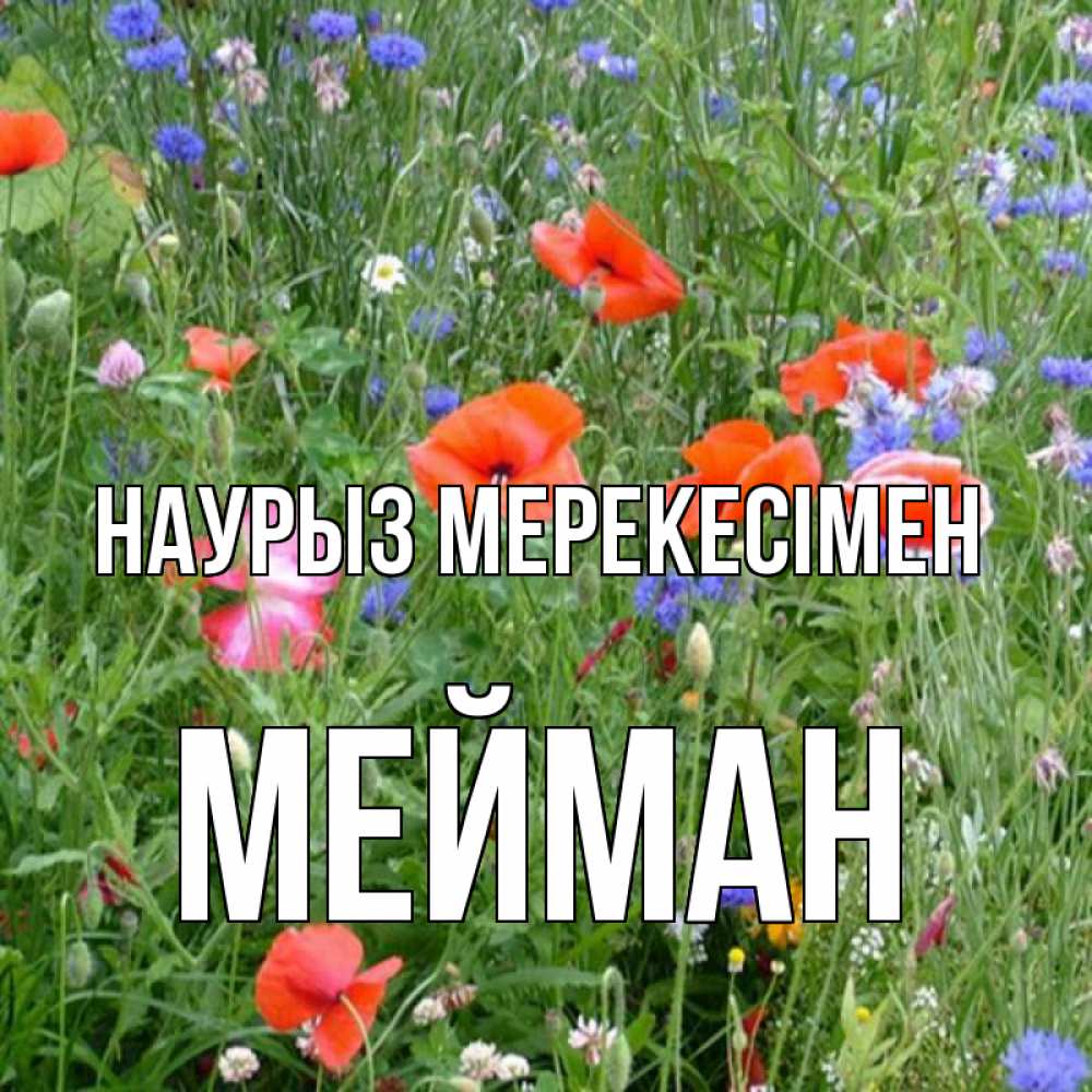 Күн сайын ашық хат с именем, МЕЙМАН Наурыз мерекесімен праздник весны наурыз супер открытка Онлайн тегін жүктеп алу тілектері бар керемет карта 