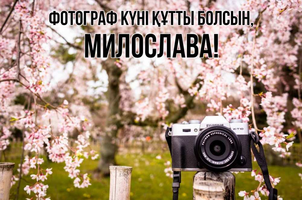 Күн сайын ашық хат с именем, Милослава Фотограф күні құтты болсын сирень с днем фотографа, фотоаппарат Онлайн тегін жүктеп алу тілектері бар керемет карта 