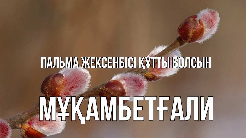 Күн сайын ашық хат с именем, Мұқамбетғали Пальма жексенбісі құтты болсын верба Онлайн тегін жүктеп алу тілектері бар керемет карта 