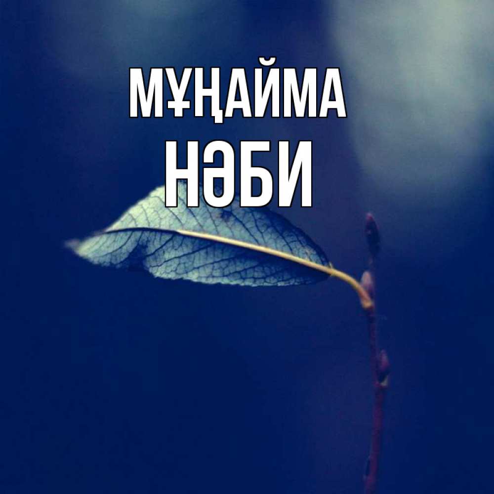 Күн сайын ашық хат с именем, НӘБИ Мұңайма растение Онлайн тегін жүктеп алу тілектері бар керемет карта 