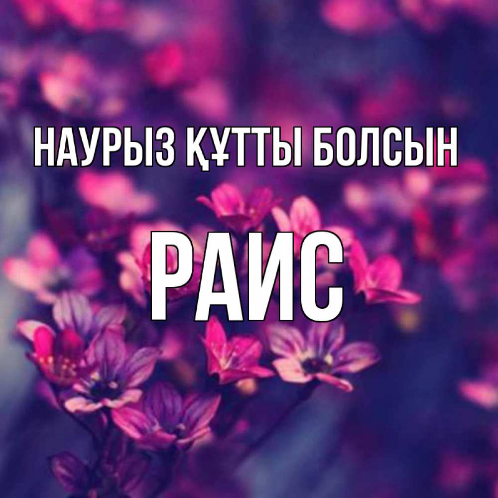 Күн сайын ашық хат с именем, Раис Наурыз құтты болсын небольшие цветы 1 Онлайн тегін жүктеп алу тілектері бар керемет карта 
