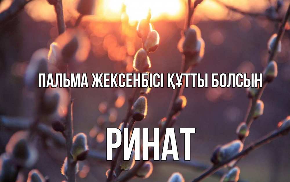 Күн сайын ашық хат с именем, Ринат Пальма жексенбісі құтты болсын верба Онлайн тегін жүктеп алу тілектері бар керемет карта 