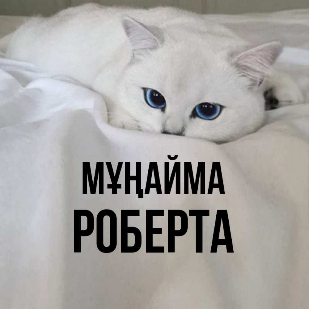 Күн сайын ашық хат с именем, Роберта Мұңайма Голубоглазая кошка Онлайн тегін жүктеп алу тілектері бар керемет карта 
