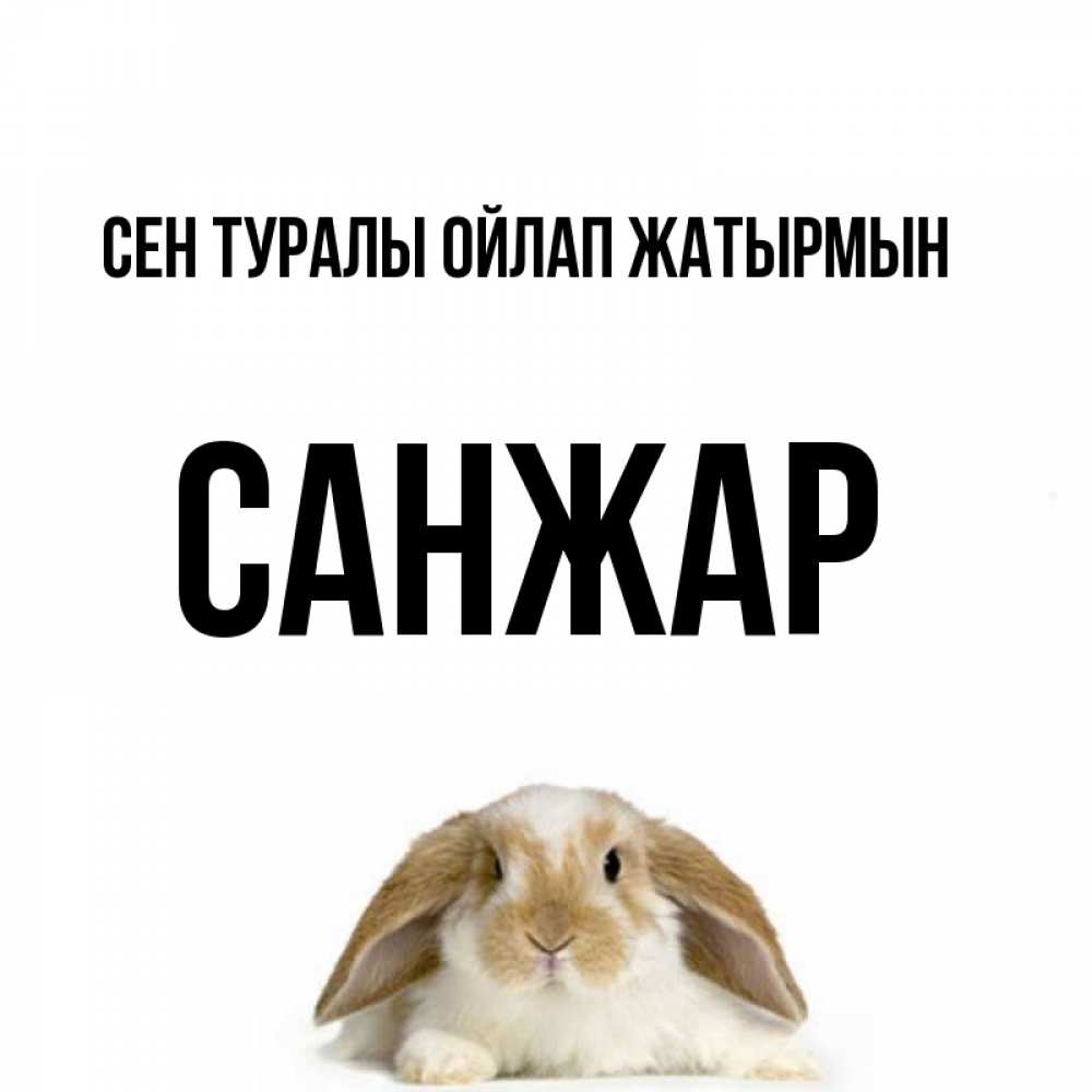 Күн сайын ашық хат с именем, САНЖАР Сен туралы ойлап жатырмын подписать своими руками онлайн Онлайн тегін жүктеп алу тілектері бар керемет карта 