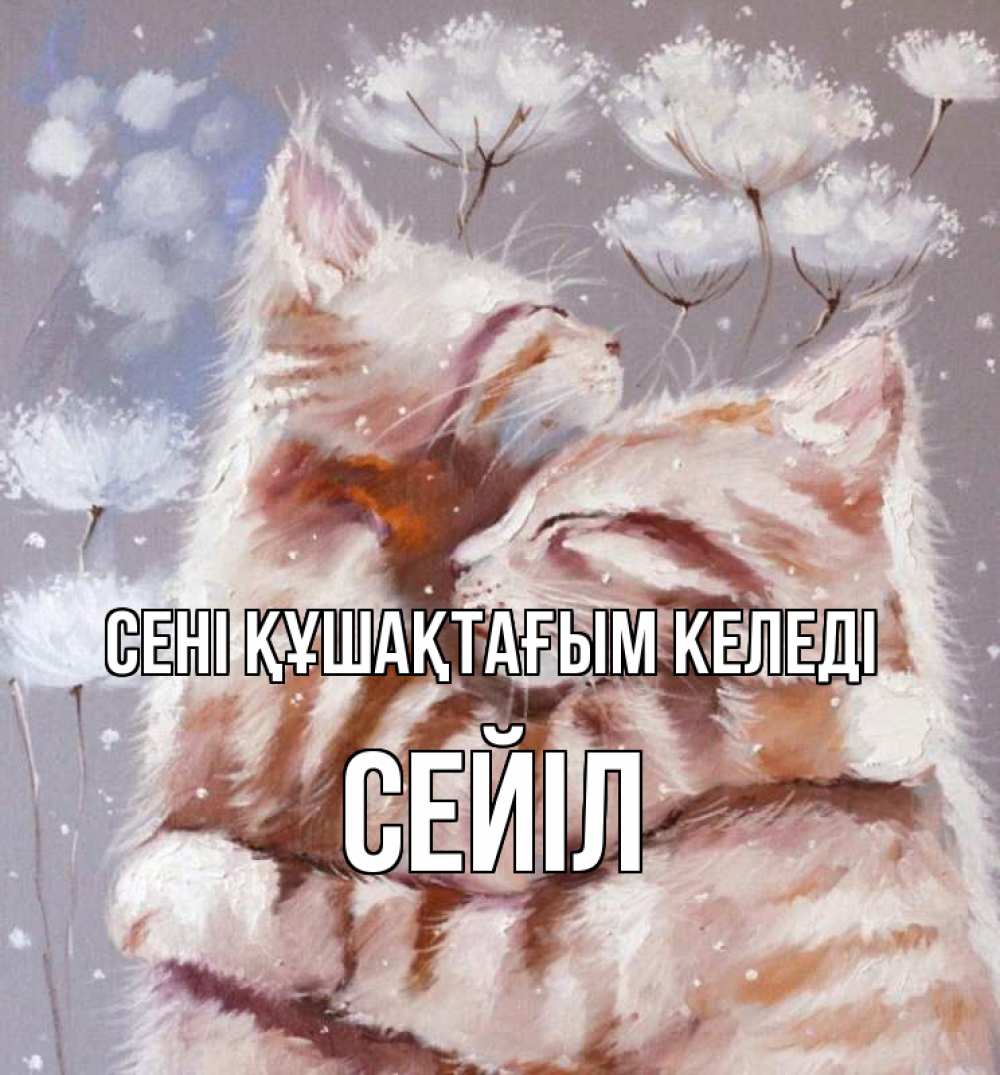 Күн сайын ашық хат с именем, СЕЙІЛ сені құшақтағым келеді Море и горы Онлайн тегін жүктеп алу тілектері бар керемет карта 
