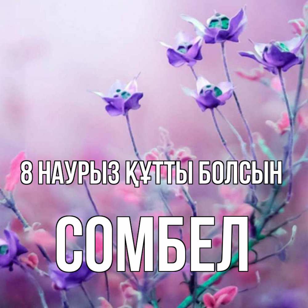 Күн сайын ашық хат с именем, СОМБЕЛ 8 наурыз құтты болсын международный женский день 2 Онлайн тегін жүктеп алу тілектері бар керемет карта 