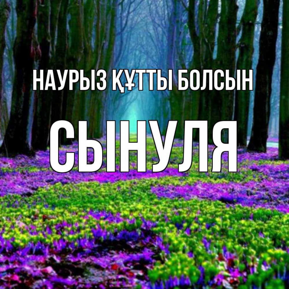 Күн сайын ашық хат с именем, Сынуля Наурыз құтты болсын фиолетовые цветы в лесу 1 Онлайн тегін жүктеп алу тілектері бар керемет карта 