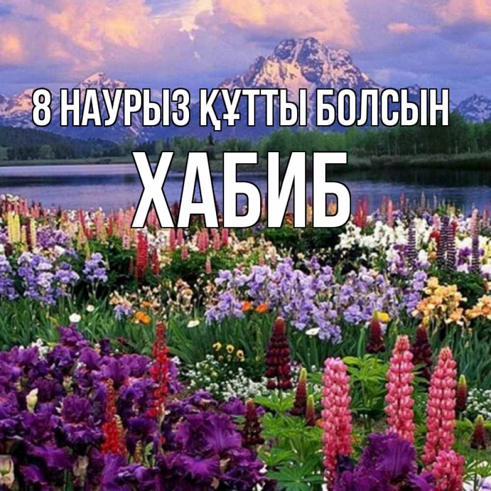 Күн сайын ашық хат с именем, ХАБИБ 8 наурыз құтты болсын международный женский день Онлайн тегін жүктеп алу тілектері бар керемет карта 