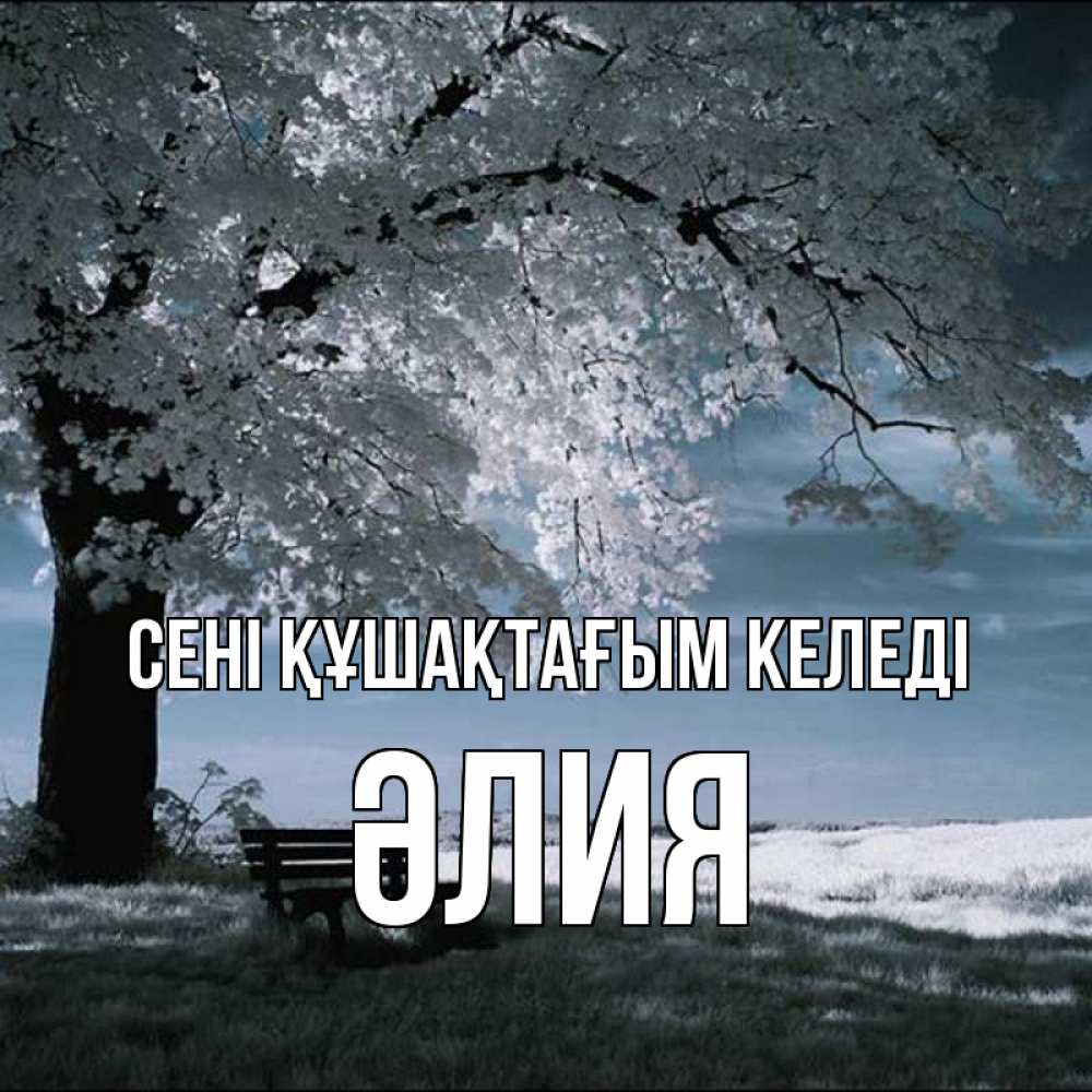 Күн сайын ашық хат с именем, ӘЛИЯ сені құшақтағым келеді дерево Онлайн тегін жүктеп алу тілектері бар керемет карта 