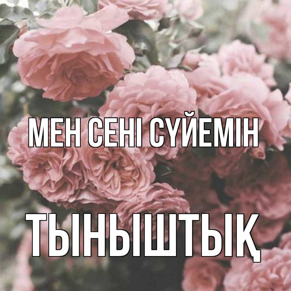 Күн сайын ашық хат с именем, ТЫНЫШТЫҚ Мен сені сүйемін розы 3 Онлайн тегін жүктеп алу тілектері бар керемет карта 