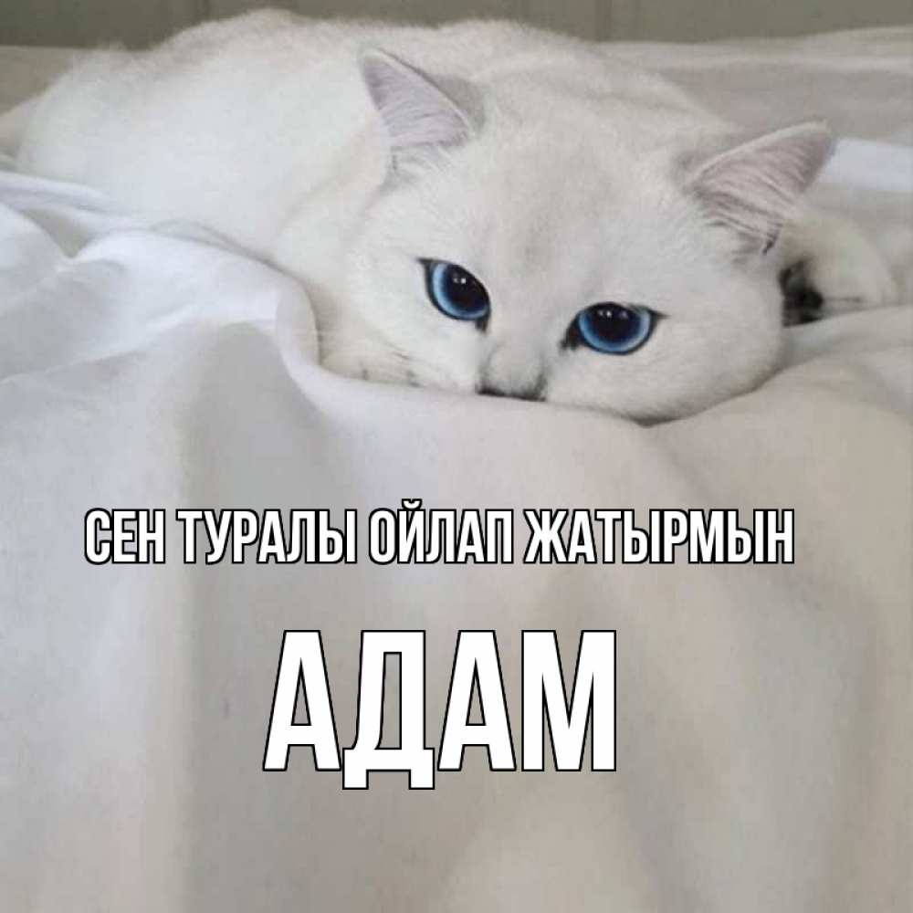 Күн сайын ашық хат с именем, Адам Сен туралы ойлап жатырмын я очень по тебе скучаю и тоскую Онлайн тегін жүктеп алу тілектері бар керемет карта 