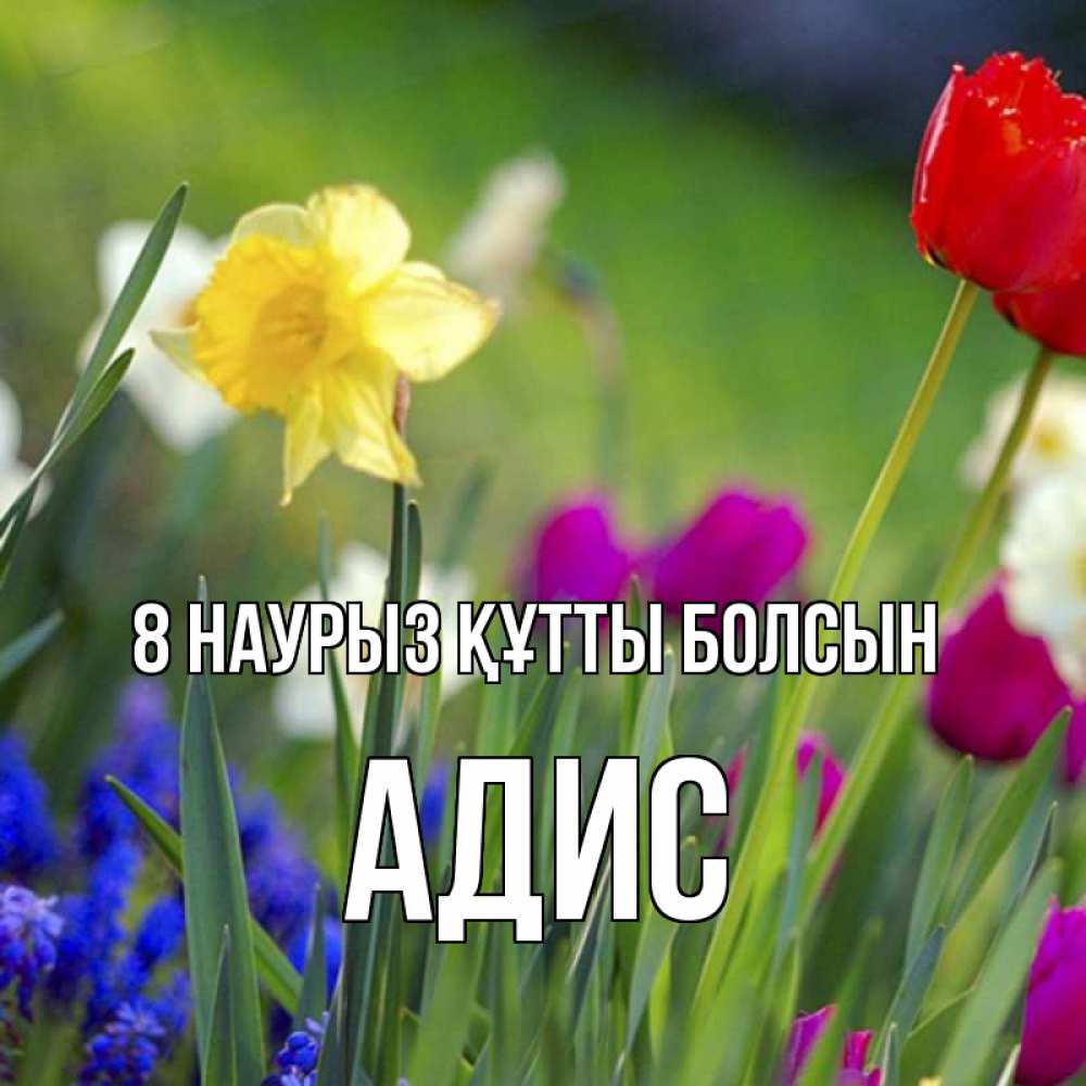 Күн сайын ашық хат с именем, Адис 8 наурыз құтты болсын международный женский день 3 Онлайн тегін жүктеп алу тілектері бар керемет карта 